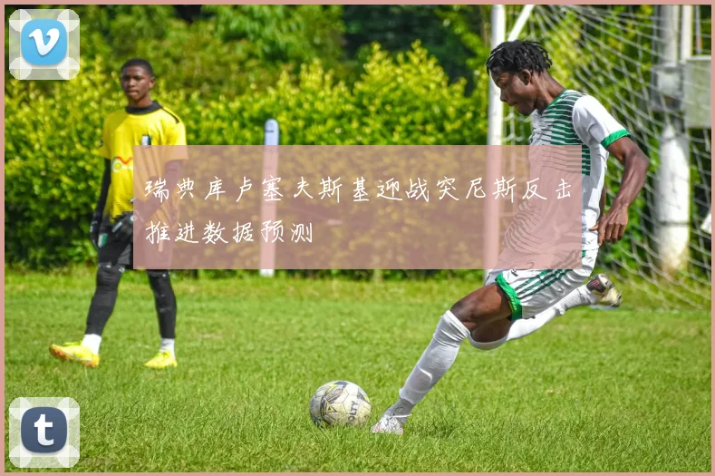 瑞典库卢塞夫斯基迎战突尼斯反击推进数据预测