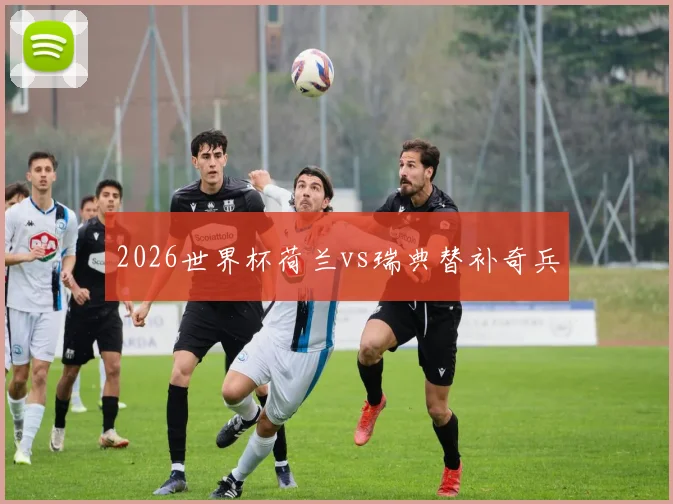 2026世界杯荷兰vs瑞典替补奇兵