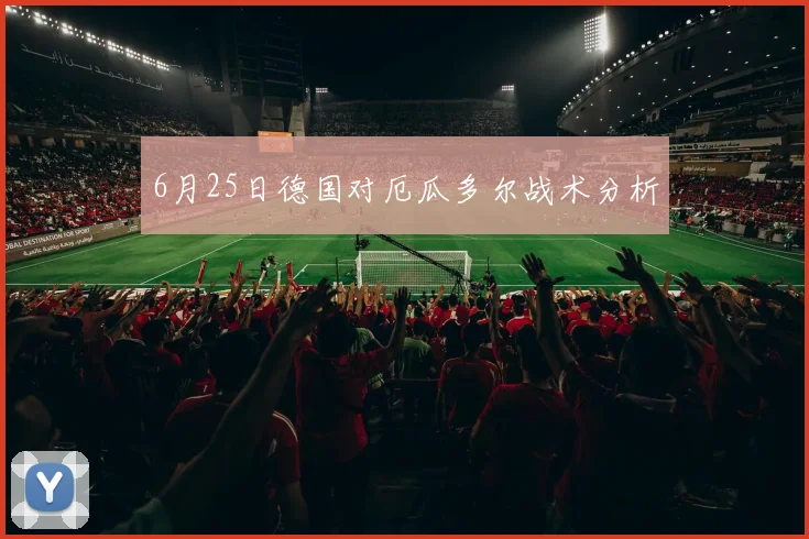 6月25日德国对厄瓜多尔战术分析